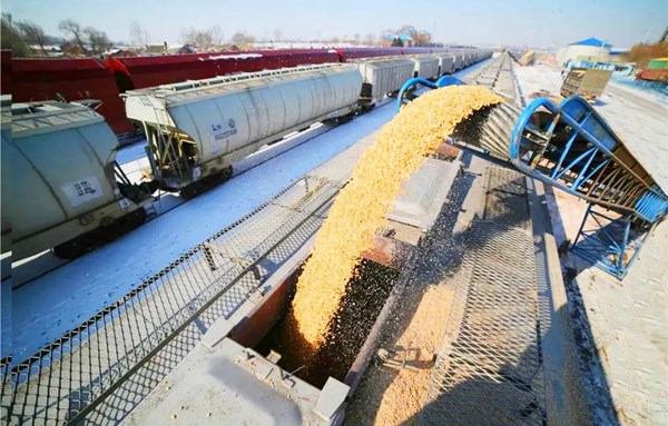 牢牢把住粮食安全主动权