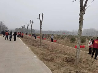 张小朋副局长到黄河故道国家森林公园参加2023年春季市级义务植树活动