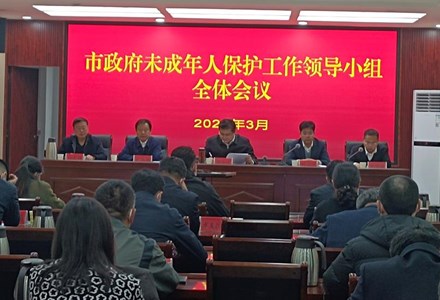 市政府未成年人保护工作领导小组全体会议召开
