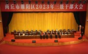 市自然资源和规划局睢阳分局获表彰